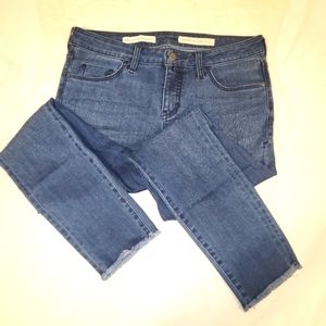 Pilcro and the Letterpress Script Blue 29 Petite